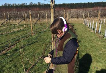 Catriona helping with pruning in the holidays